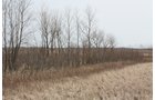 Property photo 11 - 194.67 Acres Offered in 2 Tracts